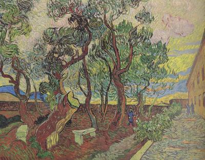 Vincent Van Gogh The Garden of Saint-Paul Hospital (nn04) Norge oil painting art